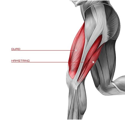 How do I know if my hamstring is pulled or torn?
