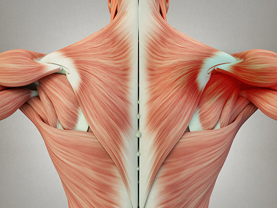 Muscle Knots in Lower Back