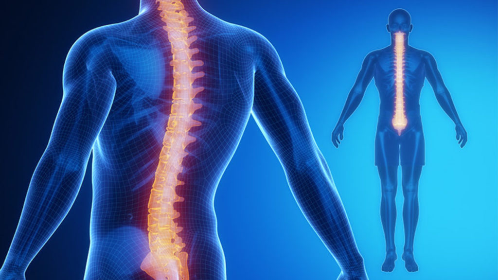 Is Chiropractic Care Considered Preventive Advanced